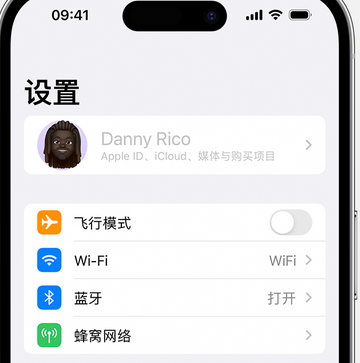 奈曼appleID维修服务iPhone设置中Apple ID显示为灰色无法使用 