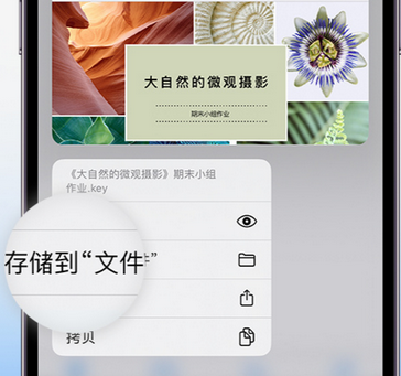 奈曼apple维修中心分享iPhone文件应用中存储和找到下载文件