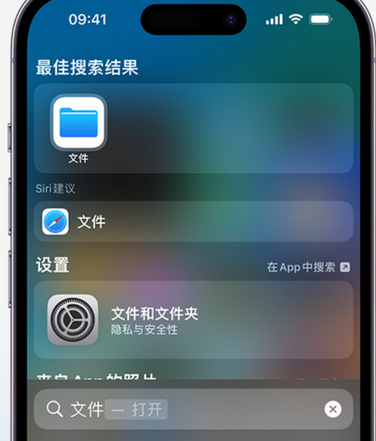 奈曼apple维修中心分享iPhone文件应用中存储和找到下载文件 