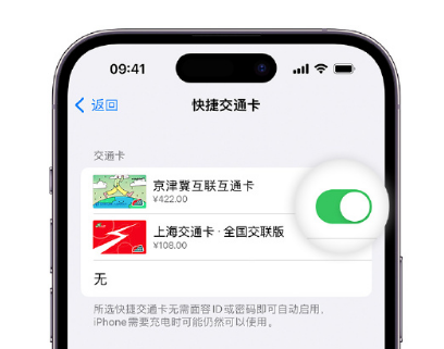 奈曼apple维修点分享iPhone上更换Apple Pay快捷交通卡手绘卡面 