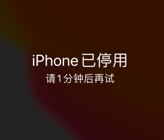 奈曼苹果手机维修分享:iPhone 显示“不可用”或“已停用”怎么办？还能保留数据吗？ 