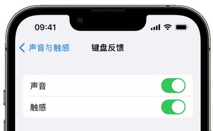 奈曼苹果手机维修分享iPhone 14触感键盘使用方法 