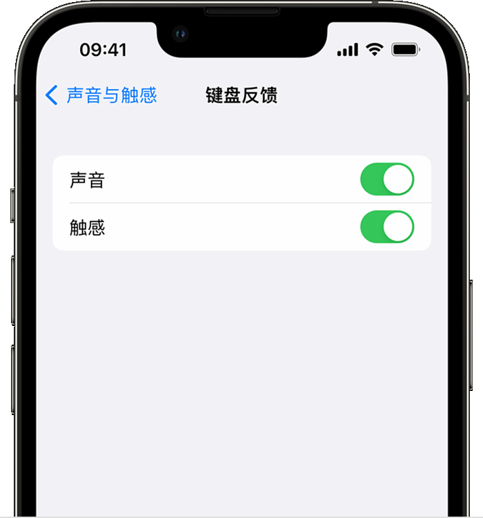 奈曼苹果14维修店分享如何在 iPhone 14 机型中使用触感键盘 