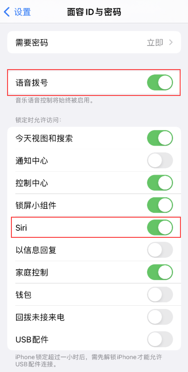 奈曼苹果维修网点分享不解锁 iPhone 的情况下通过 Siri 拨打电话的方法 