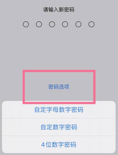 奈曼苹果14维修分享iPhone 14plus设置密码的方法 