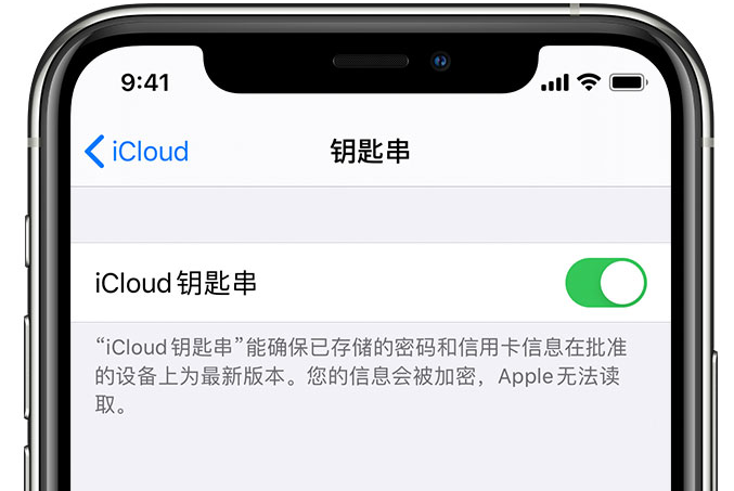 奈曼苹果手机维修分享在 iPhone 上开启 iCloud 钥匙串之后会储存哪些信息 