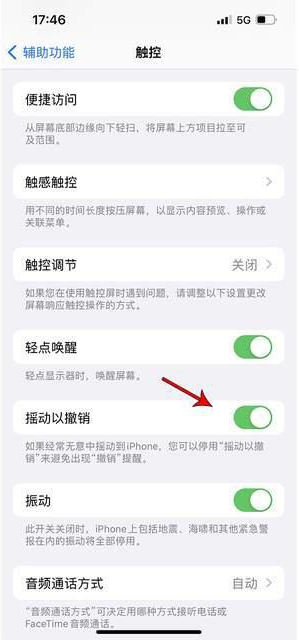 奈曼苹果手机维修分享iPhone手机如何设置摇一摇删除文字 