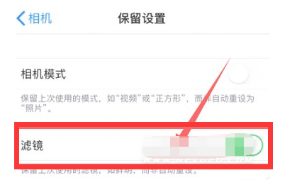 奈曼苹果13维修分享iPhone13拍照有绿点是怎么回事 