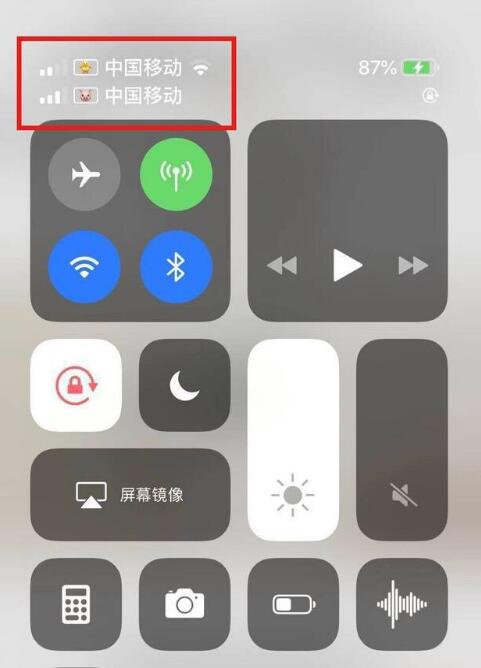 奈曼苹果手机维修分享为 iPhone 12 双卡设置标签 