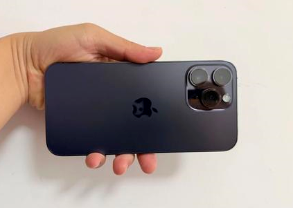奈曼苹果维修点分享iPhone 14 Pro Max黑屏少见故障盘点 